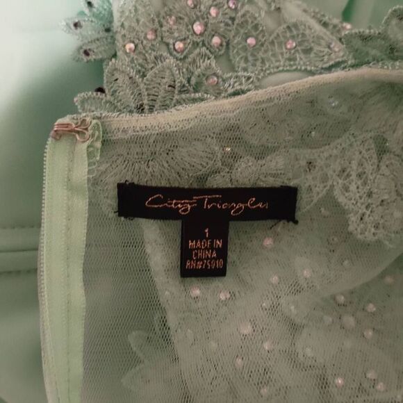 Formal Lt Green Rhinestones Floral Lace Sweetheart Bodice Long Gown Maxi Dress - Picture 14 of 15